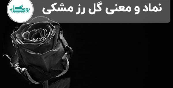 عکس کمیاب از رزی