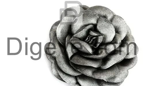 عکس رزی سیاه و سفید