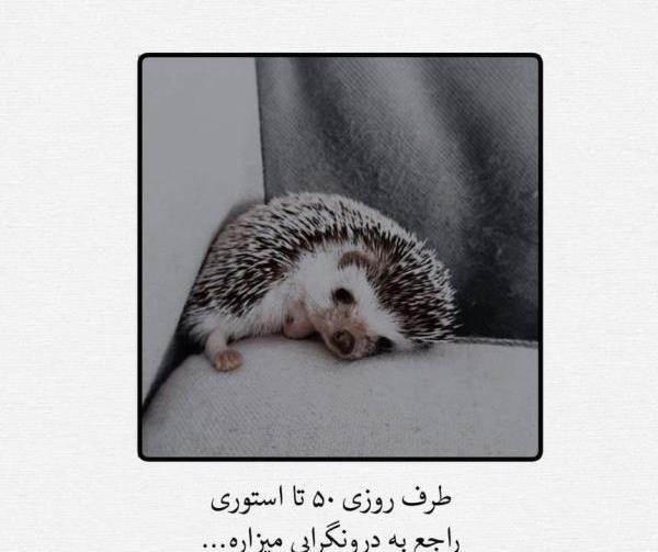 عکس رزی خنده دار