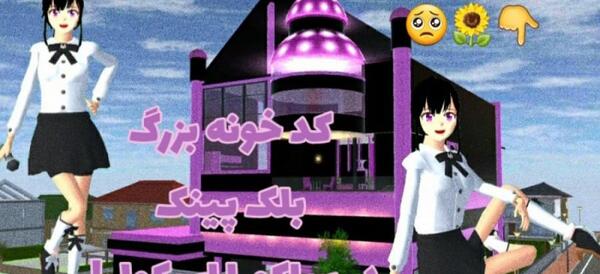 عکس خانه های بلک پینک