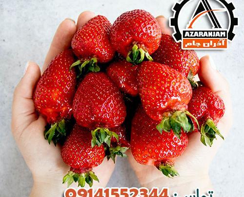 عکس گلخانه توت فرنگی