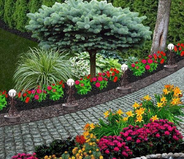 عکس خانه های سبز