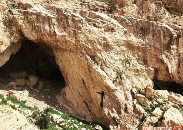 عکس از لانه خفاش
