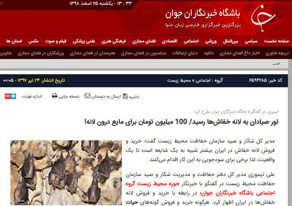 عکس از لانه خفاش
