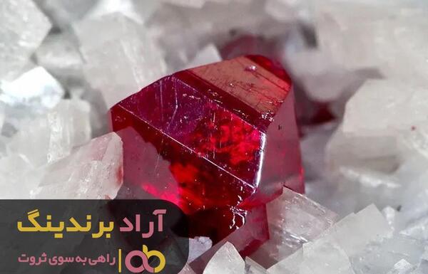 عکس جیوه در لانه خفاش