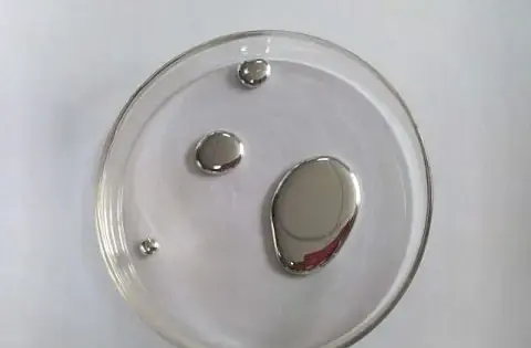 عکس جیوه در لانه خفاش