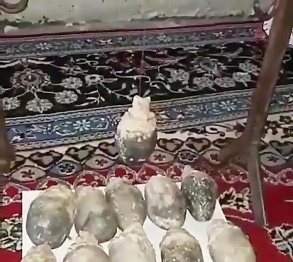 عکس جیوه در لانه خفاش