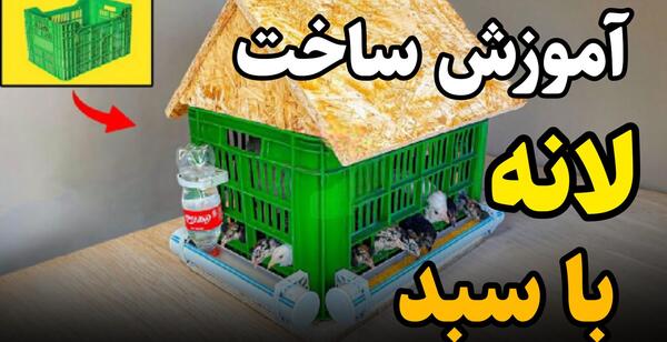 عکس خانه برای جوجه