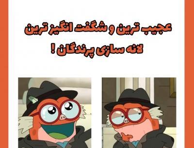 عکس لانه پرنده با کارتون