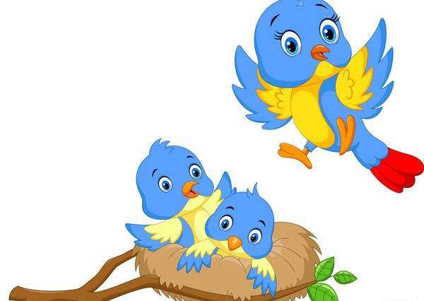 عکس لانه پرنده با کارتون