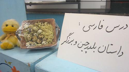 عکس بلدرچین بچه گانه