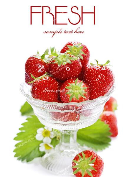 عکس بلوبری در کارتون توت فرنگی