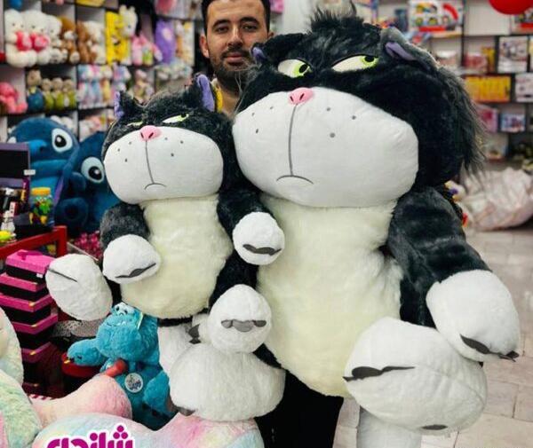 عکس گربه کارتون سیندرلا