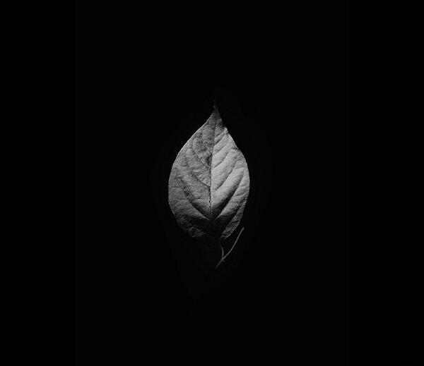 عکس پروفایل ماه سیاه و سفید