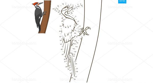 عکس نقاشی دارکوب
