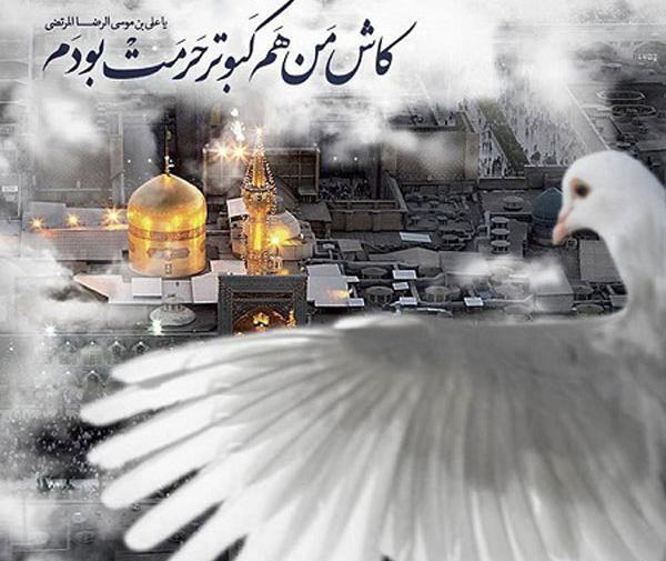 عکس گوشی با حرم امام رضا