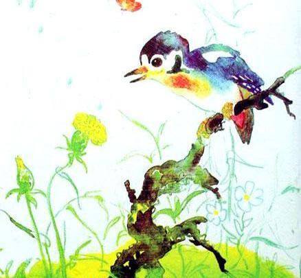 عکس دارکوب بچه گانه