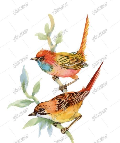 عکس نقاشی دارکوب روی درخت