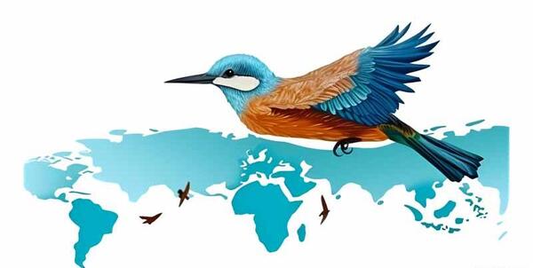 عکس نقاشی دارکوب روی درخت