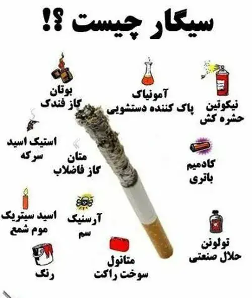 عکس ویسگون چیست