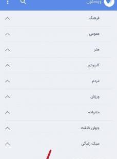 عکس ویسگون چیست