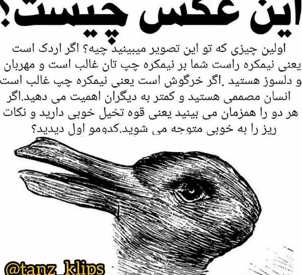 عکس ویسگون چیست