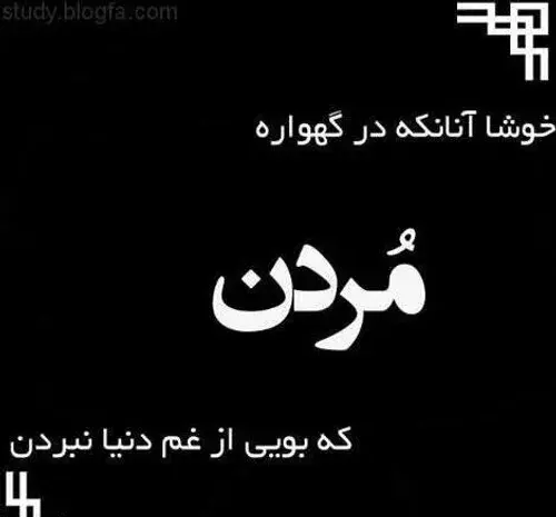 عکس ویسگون چیست