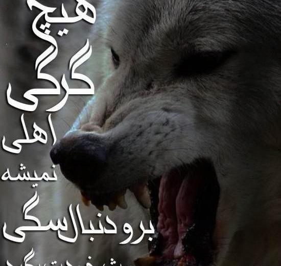 عکس پروفایل پسرانه لاتی ماشین شوتی
