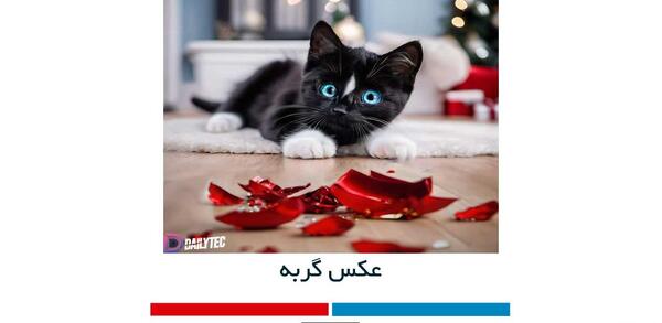 عکس های کیوت گربه و سگ