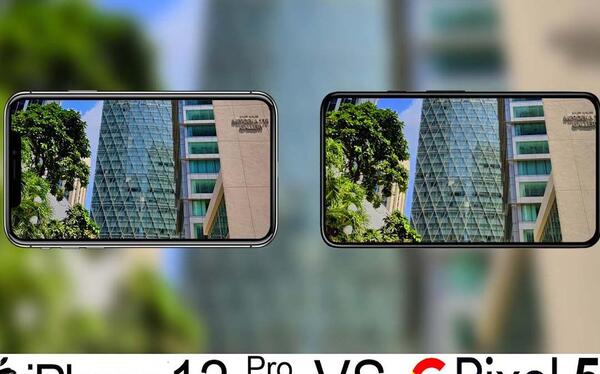 عکس با دوربین آیفون 12 پرو مکس
