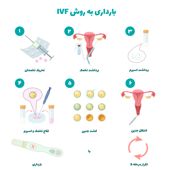عکس عمل ای وی اف