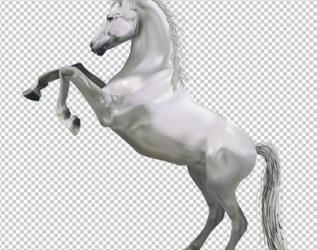 وی پی ان عکس اسب