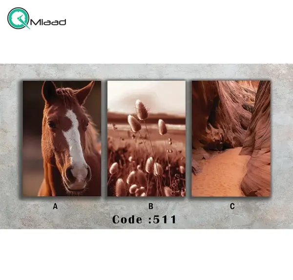 وی پی ان عکس اسب