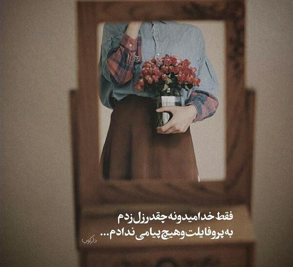 عکس شیک ویسگون