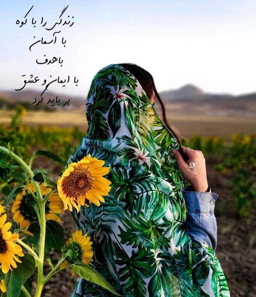 عکس شیک ویسگون