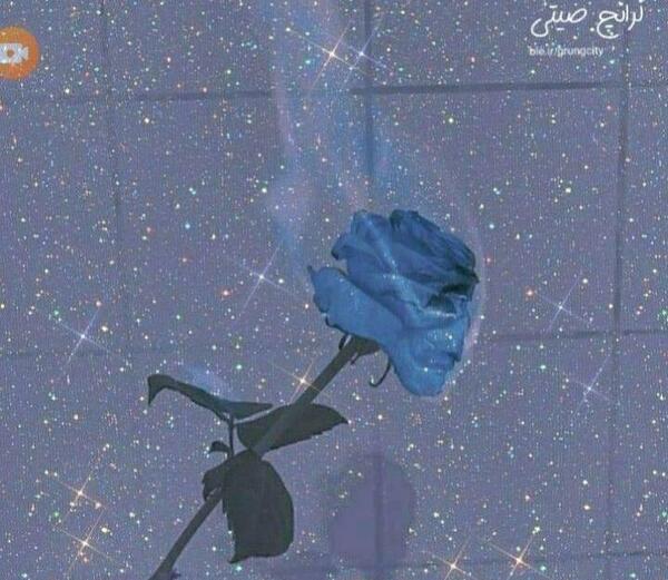 عکس شیک ویسگون