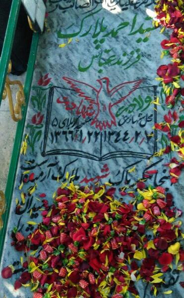 عکس شهید احمد پلارکی