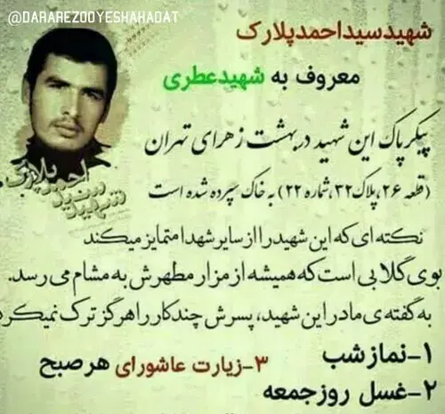 عکس های شهید احمد پلارک