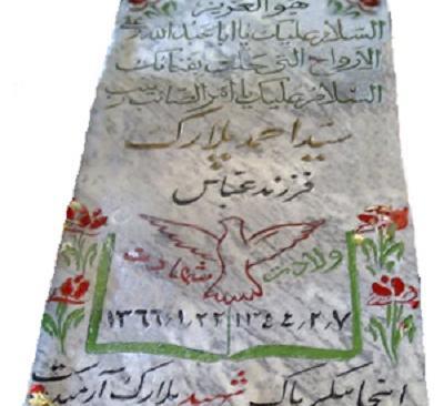 عکس شهید سید احمد پلارک