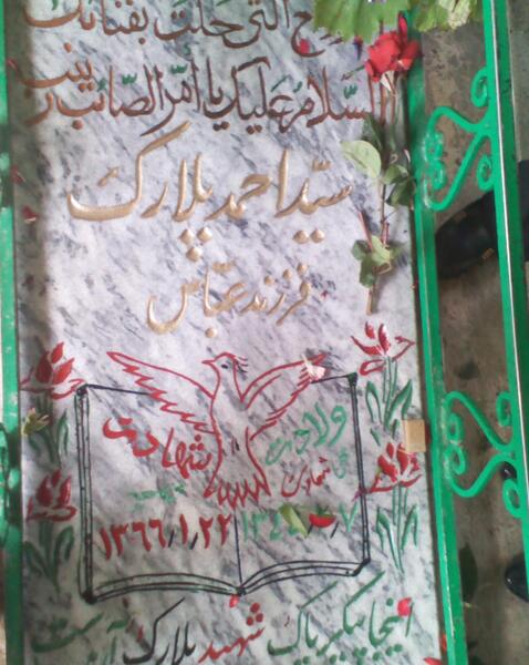 عکس قبر شهید احمد پلارک