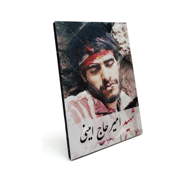 عکس های شهید امیر حاج امینی