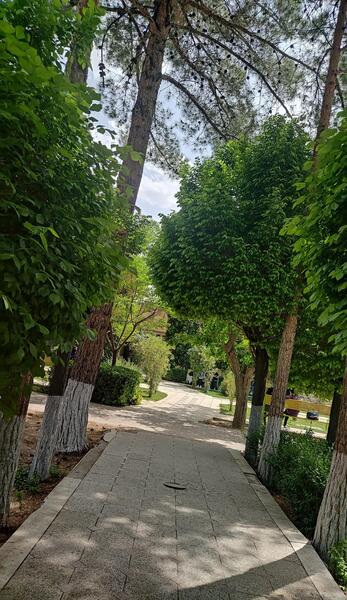 عکس شهید باهنر کرمان