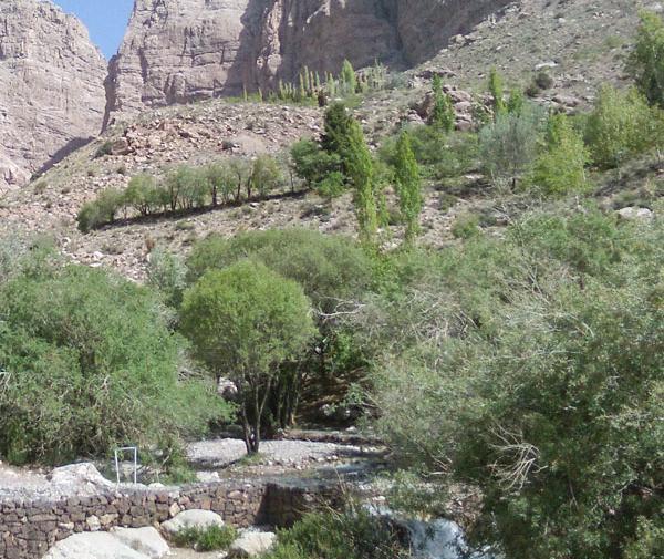 عکس اردوگاه شهید باهنر کوهپایه کرمان
