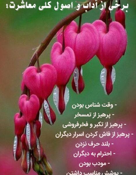عکس نوشته پیام مشاور