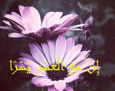 عکس گل برای پیام قرآنی