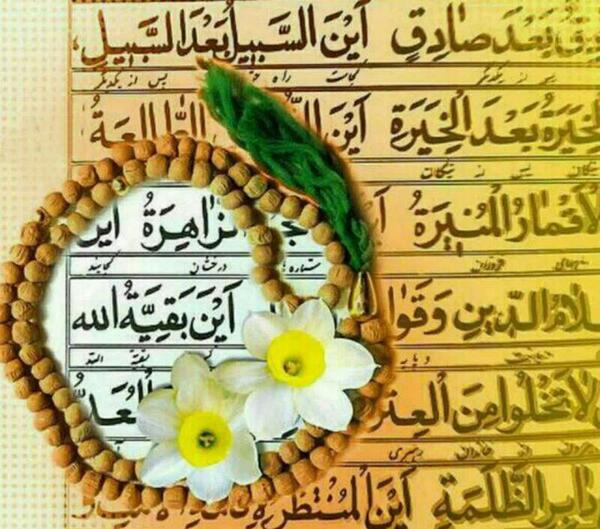 عکس گل برای پیام قرآنی