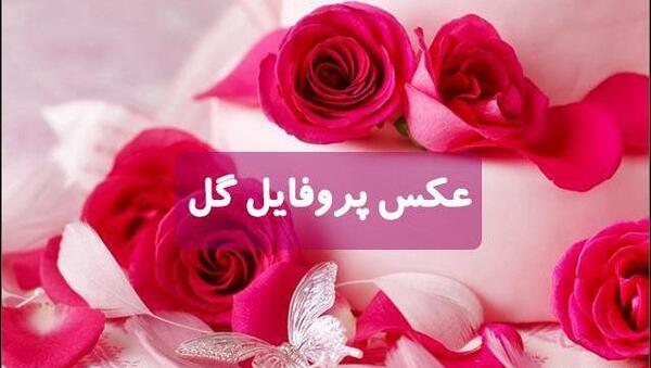 عکس گل برای پیامک