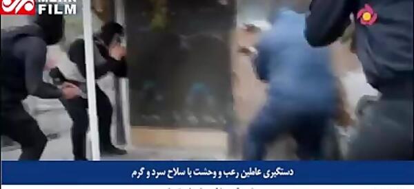 شهرقدس عکس پیام گربه قلعه حسن خان
