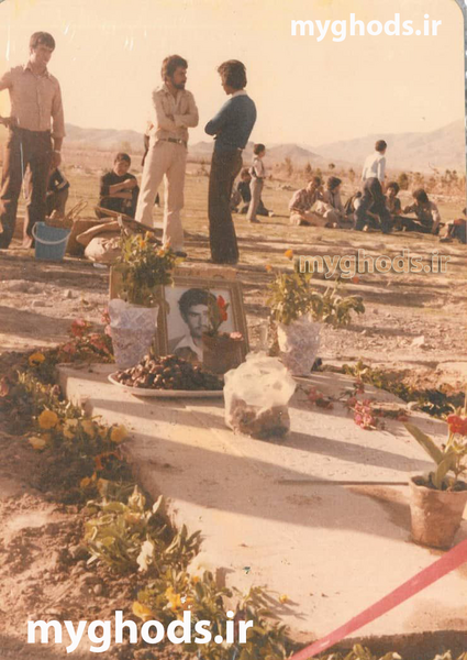 شهرقدس عکس پیام گربه قلعه حسن خان