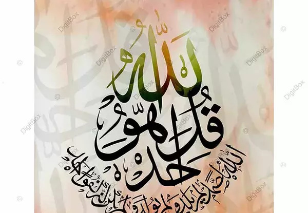 عکس پیام قرانی هذا من فضل ربی